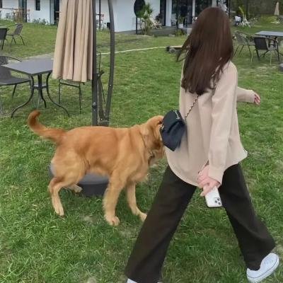 灰姑娘外传